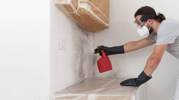 Professional Mold Removal technician working in Bensenville, IL